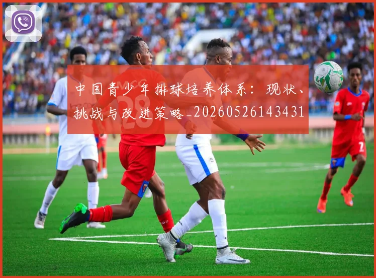 中国青少年排球培养体系:现状、挑战与改进策略_20260526143431
